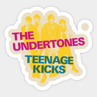 The Undertones Teenage kicks Sticker